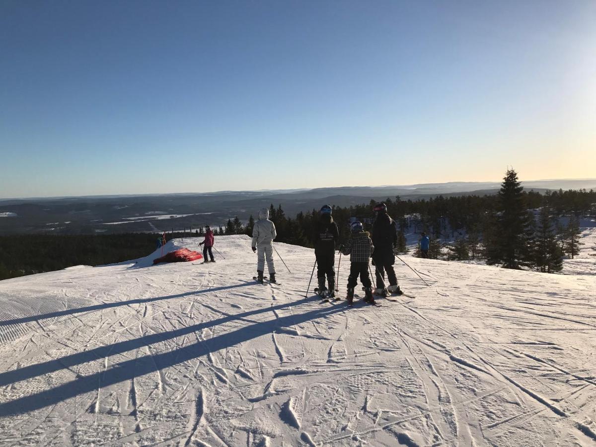 Villa Granhede -Sjoelaege Med Badtunna, Eldstad Med Mera Torsby Eksteriør bilde