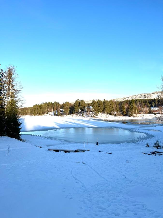 Villa Granhede -Sjoelaege Med Badtunna, Eldstad Med Mera Torsby Eksteriør bilde