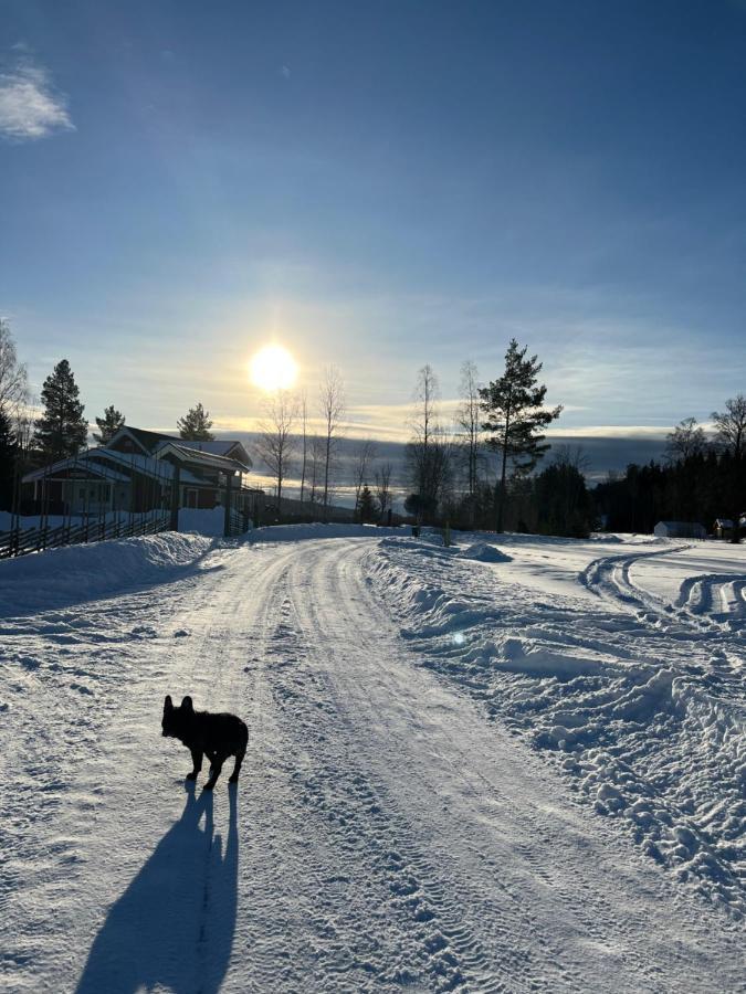 Villa Granhede -Sjoelaege Med Badtunna, Eldstad Med Mera Torsby Eksteriør bilde