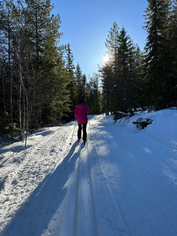 Villa Granhede -Sjoelaege Med Badtunna, Eldstad Med Mera Torsby Eksteriør bilde