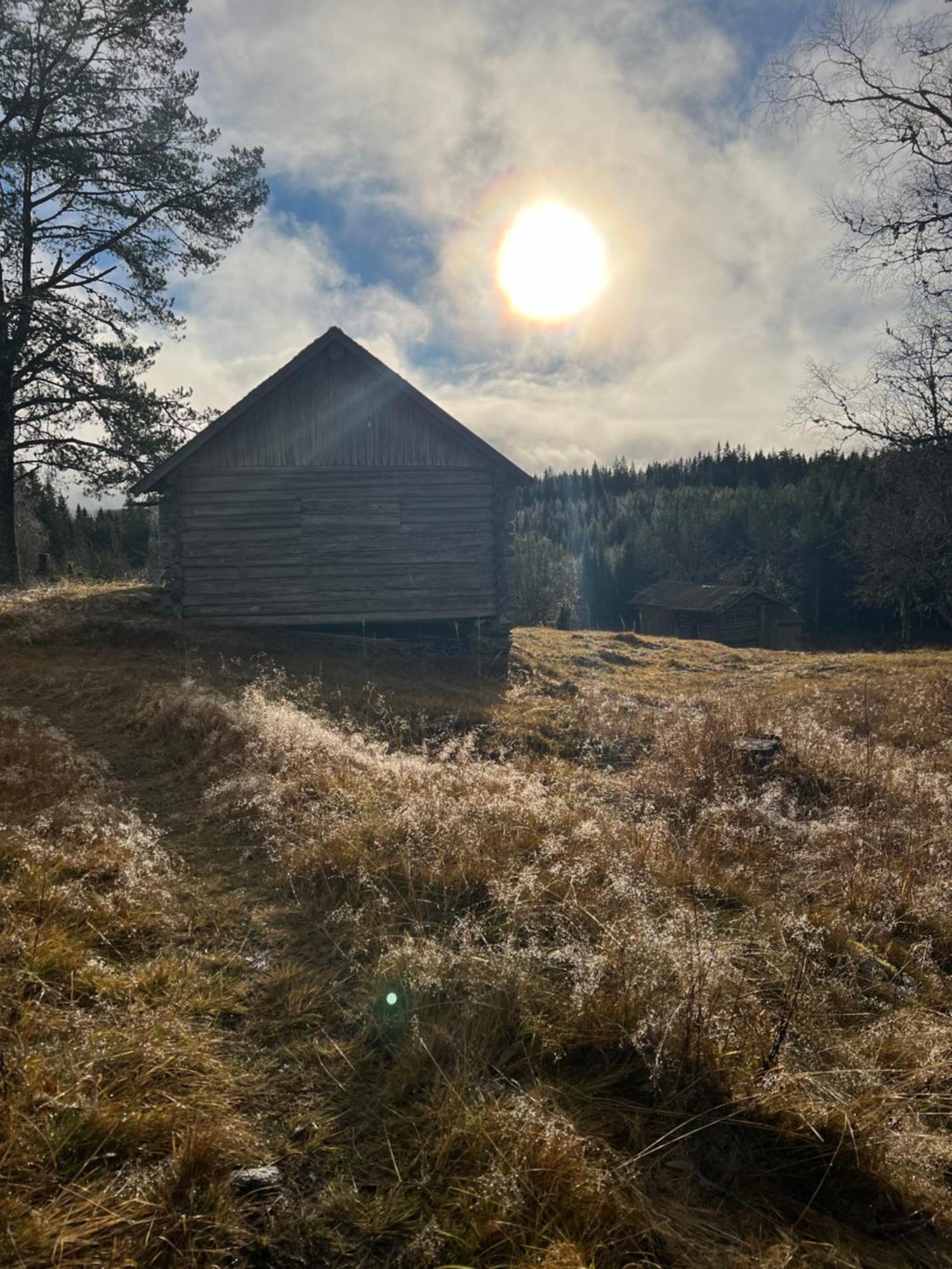 Villa Granhede -Sjoelaege Med Badtunna, Eldstad Med Mera Torsby Eksteriør bilde